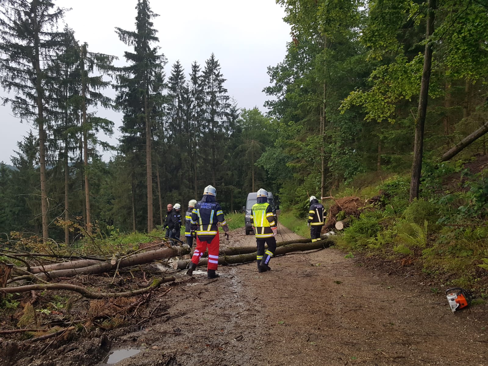 Einsatz: Sturmschaden