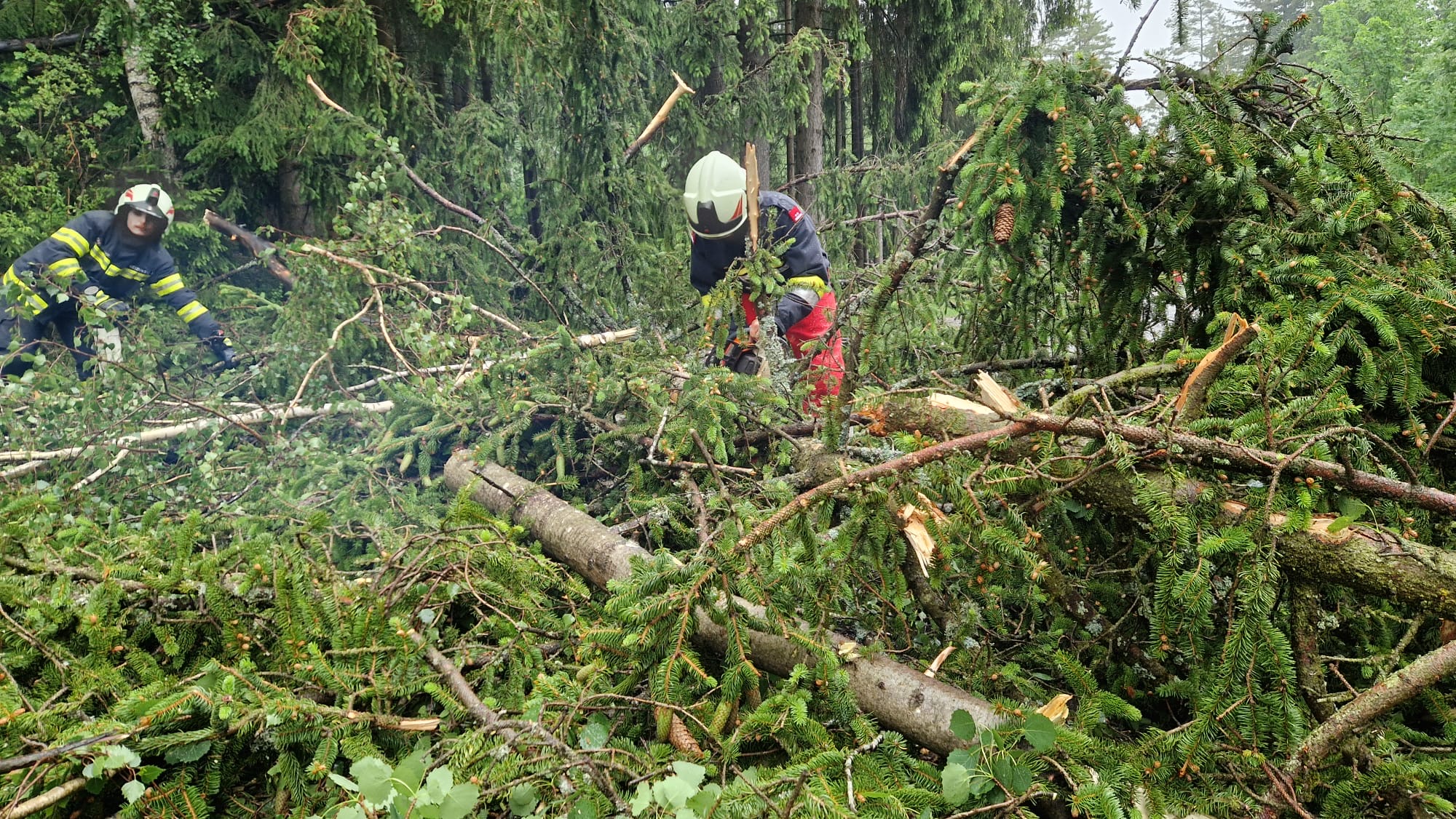 Einsatz Baum über Straße