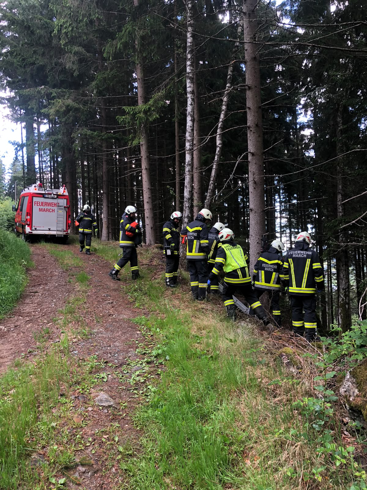 Monatsübung Juni